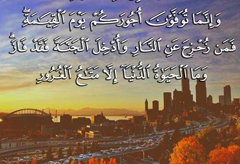 
<span>الحياة الدنيا متاع الغرور</span>
