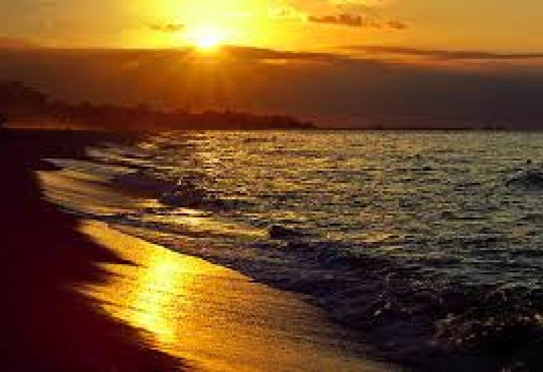 
<span>رسالة من رئيس المنتدى الامام الصادق المهدي الى السيد أحمد اوغلو رئيس حزب العدالة والتنمية</span>
