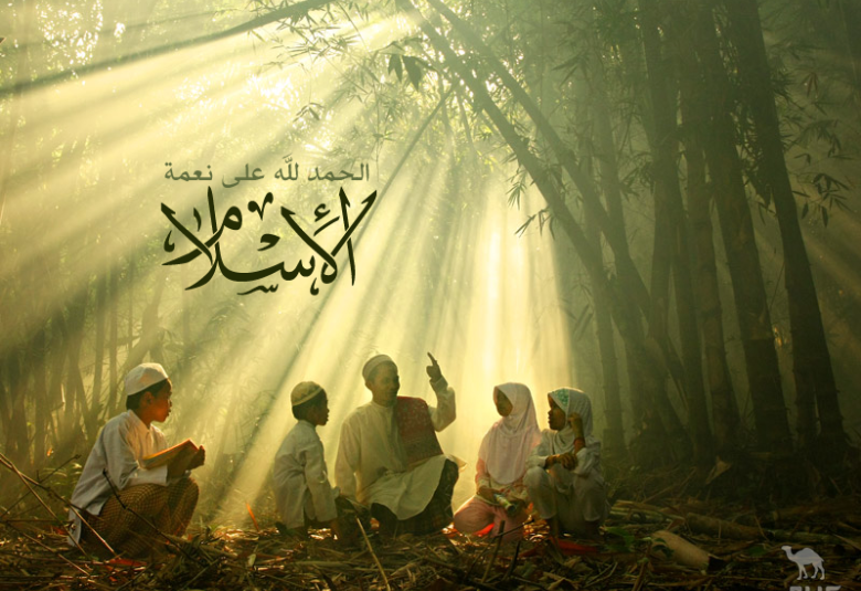 
<span>الإسلام الأهلي والتطرف</span>
