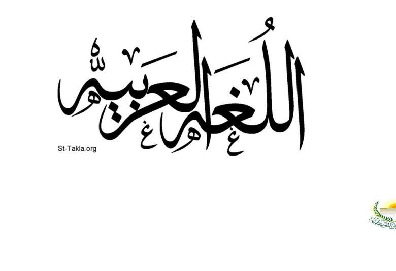 
<span>برنامج الندوة الدولية  " من اجل رؤية إسلامية موحدة لقضايا المرأة والسكان "</span>
